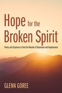 bokomslag Hope for the Broken Spirit