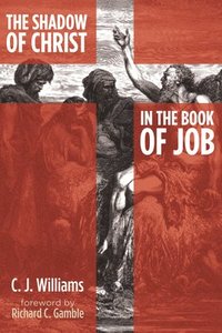 bokomslag The Shadow of Christ in the Book of Job