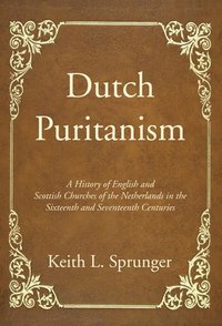 bokomslag Dutch Puritanism