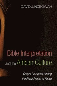 bokomslag Bible Interpretation and the African Culture