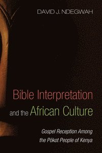 bokomslag Bible Interpretation and the African Culture