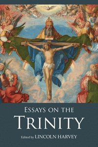 bokomslag Essays on the Trinity