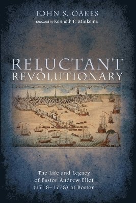 bokomslag Reluctant Revolutionary