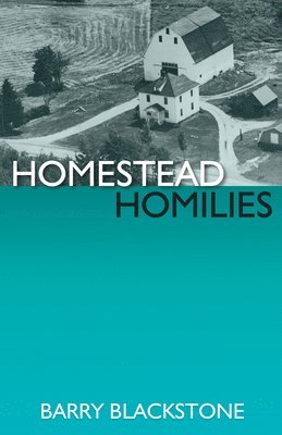 bokomslag Homestead Homilies