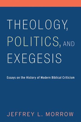 bokomslag Theology, Politics, and Exegesis