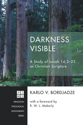 bokomslag Darkness Visible