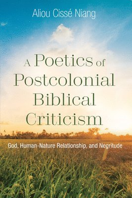 bokomslag A Poetics of Postcolonial Biblical Criticism