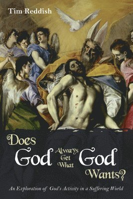 Does God Always Get What God Wants?