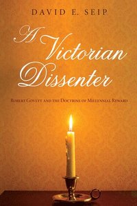 bokomslag Victorian Dissenter