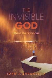 bokomslag The Invisible God