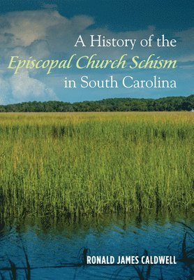 bokomslag History of the Episcopal Church Schism in South Carolina