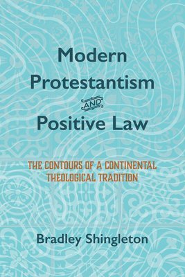 bokomslag Modern Protestantism and Positive Law