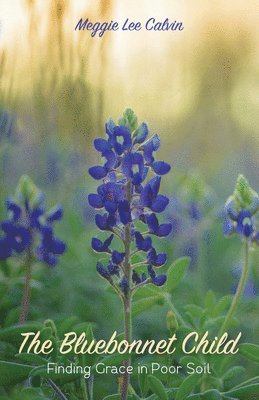 bokomslag The Bluebonnet Child