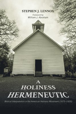 bokomslag Holiness Hermeneutic