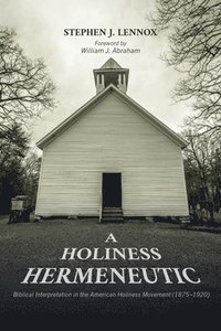 bokomslag A Holiness Hermeneutic