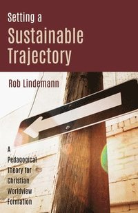 bokomslag Setting a Sustainable Trajectory