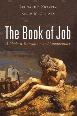 Leonard S Kravitz, Kerry M Olitzky, Leonard S. Kravitz, Kerry M. Olitzky - Book of Job, Häftad