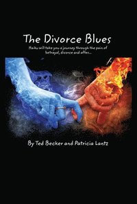 bokomslag The Divorce Blues
