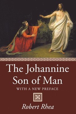 bokomslag Johannine Son of Man