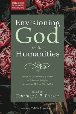 bokomslag Envisioning God in the Humanities