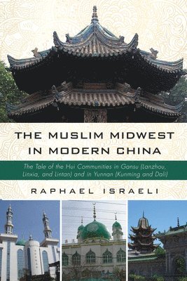 bokomslag Muslim Midwest in Modern China