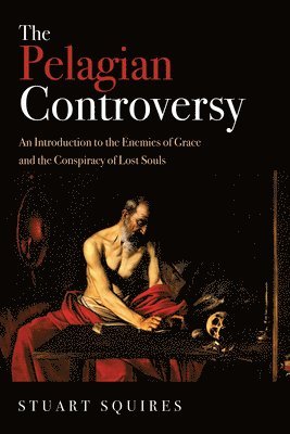 bokomslag Pelagian Controversy