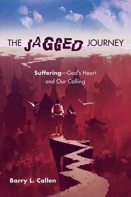 bokomslag Jagged Journey