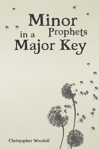 bokomslag Minor Prophets in a Major Key