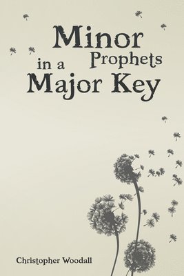 bokomslag Minor Prophets in a Major Key