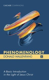 bokomslag Phenomenology