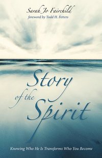 bokomslag Story of the Spirit