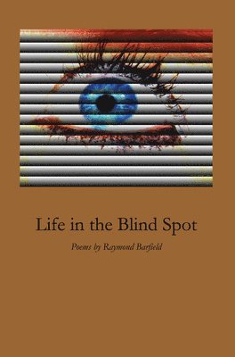 Raymond Barfield - Life in the Blind Spot, Häftad. Tillgänglighet: Lägg i varukorg