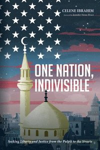 bokomslag One Nation, Indivisible
