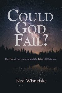 bokomslag Could God Fail?