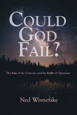 bokomslag Could God Fail?