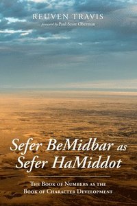 bokomslag Sefer BeMidbar as Sefer HaMiddot