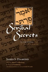 bokomslag Scribal Secrets
