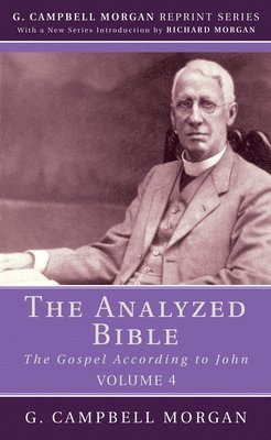 bokomslag Analyzed Bible, Volume 4