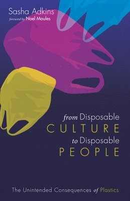 bokomslag From Disposable Culture to Disposable People