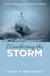 bokomslag Weathering the Storm