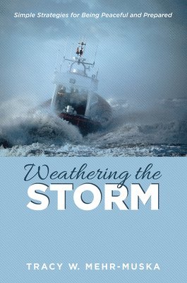 bokomslag Weathering the Storm
