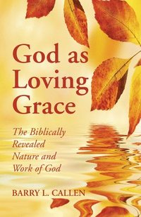 bokomslag God as Loving Grace