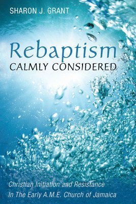 Rebaptism Calmly Considered 1