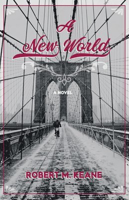 bokomslag New World