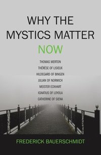 bokomslag Why the Mystics Matter Now