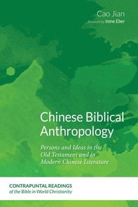 bokomslag Chinese Biblical Anthropology