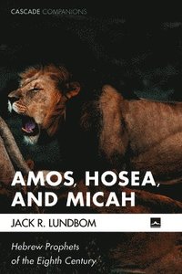 bokomslag Amos, Hosea, and Micah
