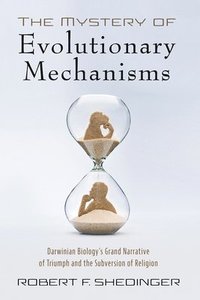 bokomslag Mystery of Evolutionary Mechanisms