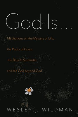 Wesley J Wildman, Wesley J. Wildman - God Is . . ., Häftad