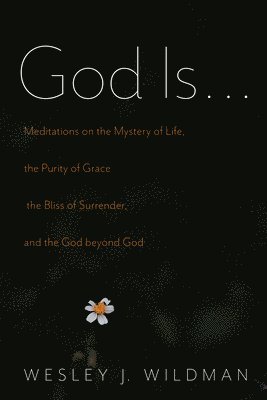Wesley J Wildman, Wesley J. Wildman - God Is . . ., Inbunden